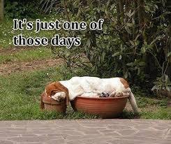 One of those days . . .